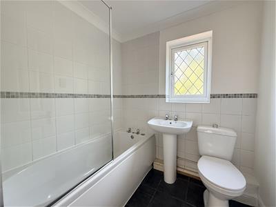 Picture 20